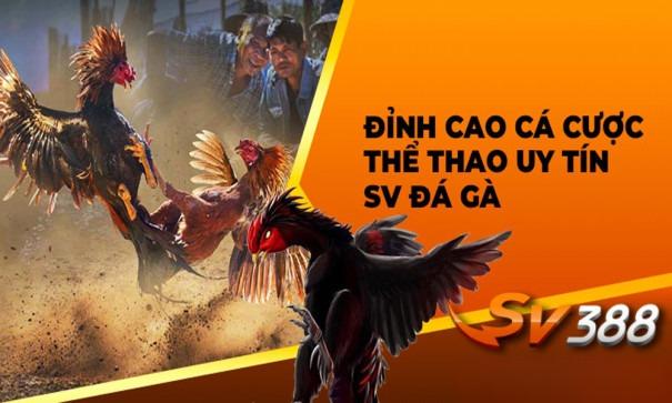 Nhà Cái SV388 Lừa Đảo Thành Viên Có Phải Sự Thật?