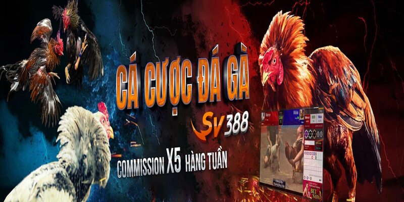 Kiếm Tiền SV388 Hiệu Quả, Nhanh Chóng Từ Cá Cược Online