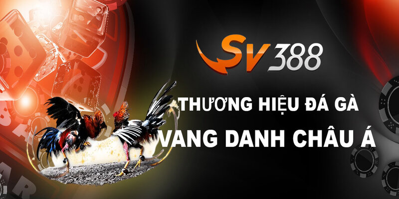 Nhà Cái SV388 Lừa Đảo Thành Viên Có Phải Sự Thật?