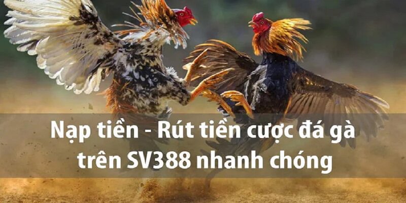 Nhà Cái SV388 Lừa Đảo Thành Viên Có Phải Sự Thật?