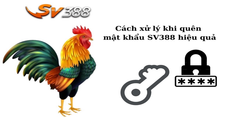 Quên Mật Khẩu Sv388 - Nguyên Nhân Và Cách Khắc Phục