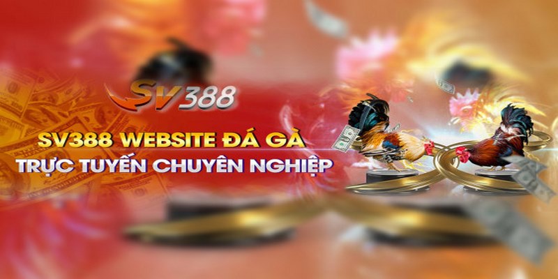 Chơi Nhanh Sv388 Bản Web - Nâng Cao Trải Nghiệm Tiện Lợi