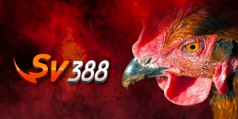 Cách Đổi Mật Khẩu Sv388 Chi Tiết, Chính Xác Cho Bet Thủ