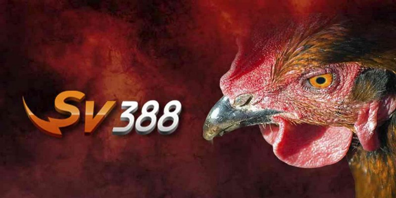 Cách Xóa Tài Khoản Sv388 Nhanh Chóng, Đơn Giản