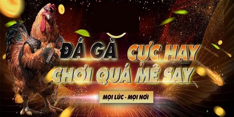 SV388 Tặng Code - Trải Nghiệm Để Có Cơ Hội Săn Quà Khủng