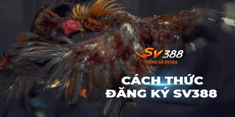 Đăng Ký SV388 - Trải Nghiệm Thế Giới Cá Cược Đỉnh Cao