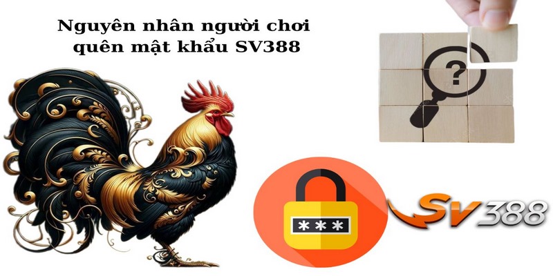 Quên Mật Khẩu Sv388 - Nguyên Nhân Và Cách Khắc Phục