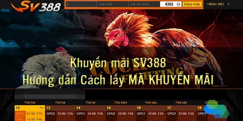 SV388 Tặng Code - Trải Nghiệm Để Có Cơ Hội Săn Quà Khủng