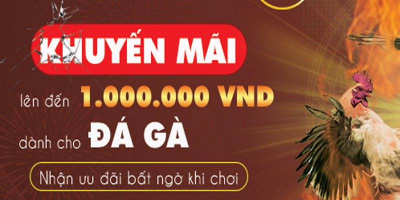 SV388 Tặng Code - Trải Nghiệm Để Có Cơ Hội Săn Quà Khủng
