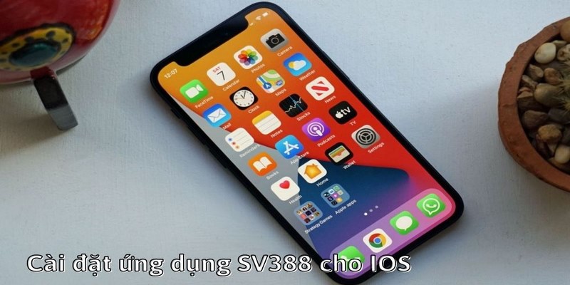 Hướng Dẫn A - Z Tải App Sv388 Bản IOS Hoạt Động Mượt Mà