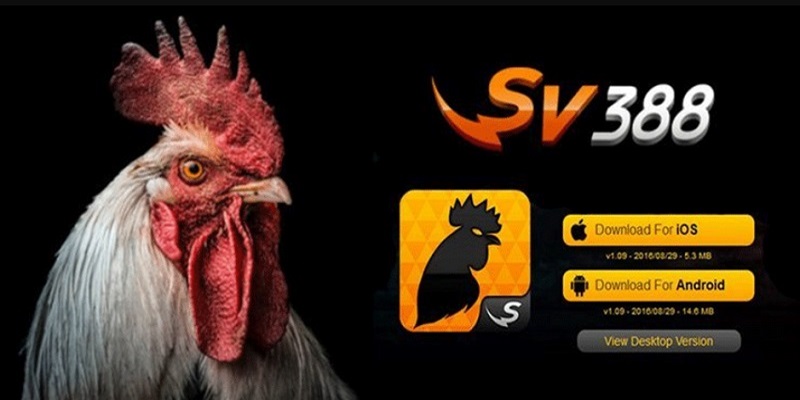 Tải SV388 Android Để Trải Có Được Trải Nghiệm Hoàn Chỉnh