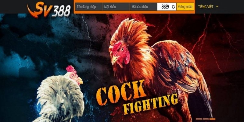 Đăng Ký SV388 - Trải Nghiệm Thế Giới Cá Cược Đỉnh Cao